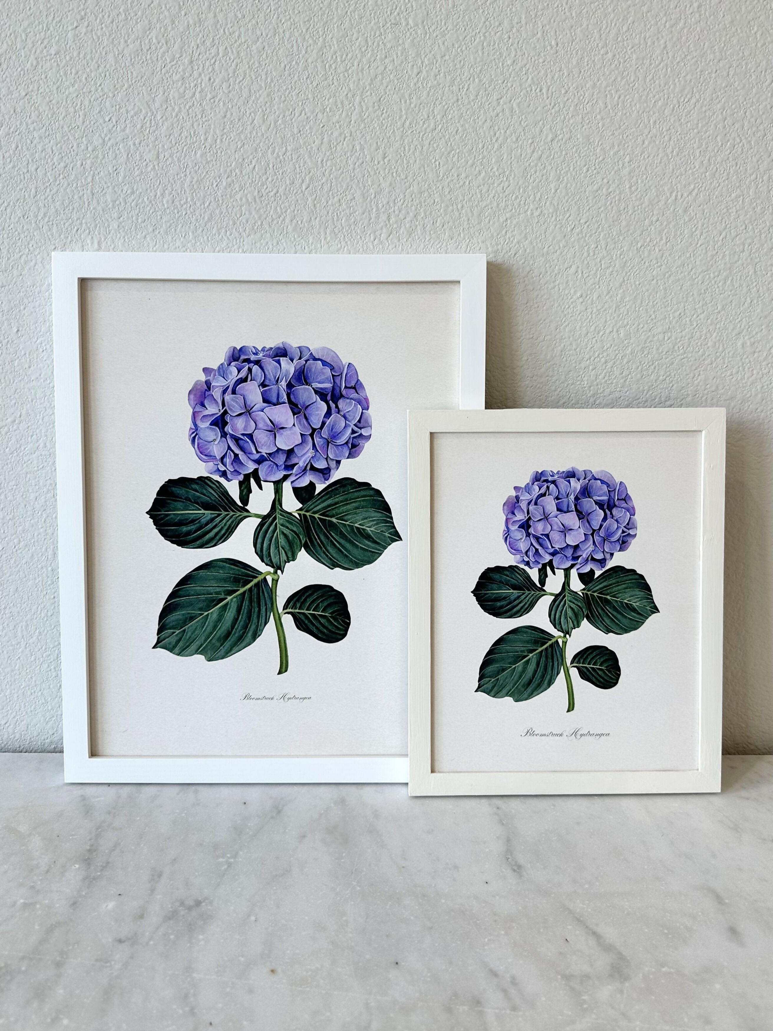 Purple Hydrangea Print
