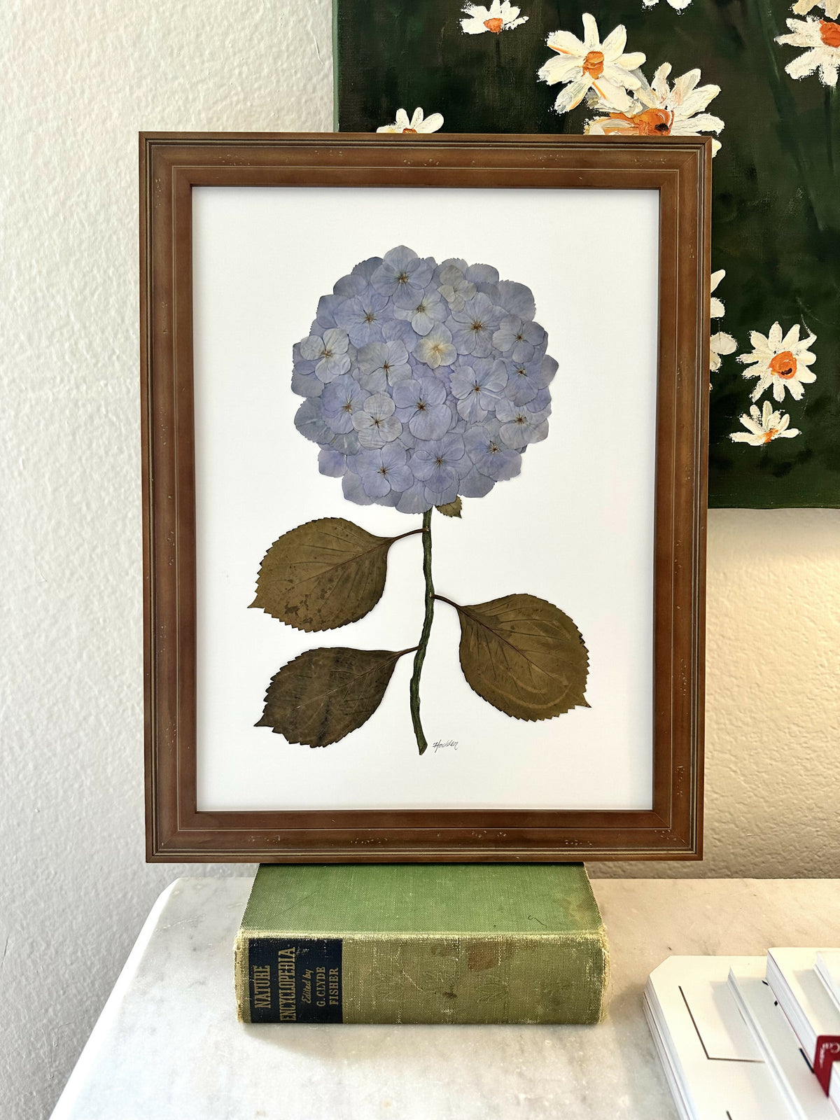 Pressed Hydrangea