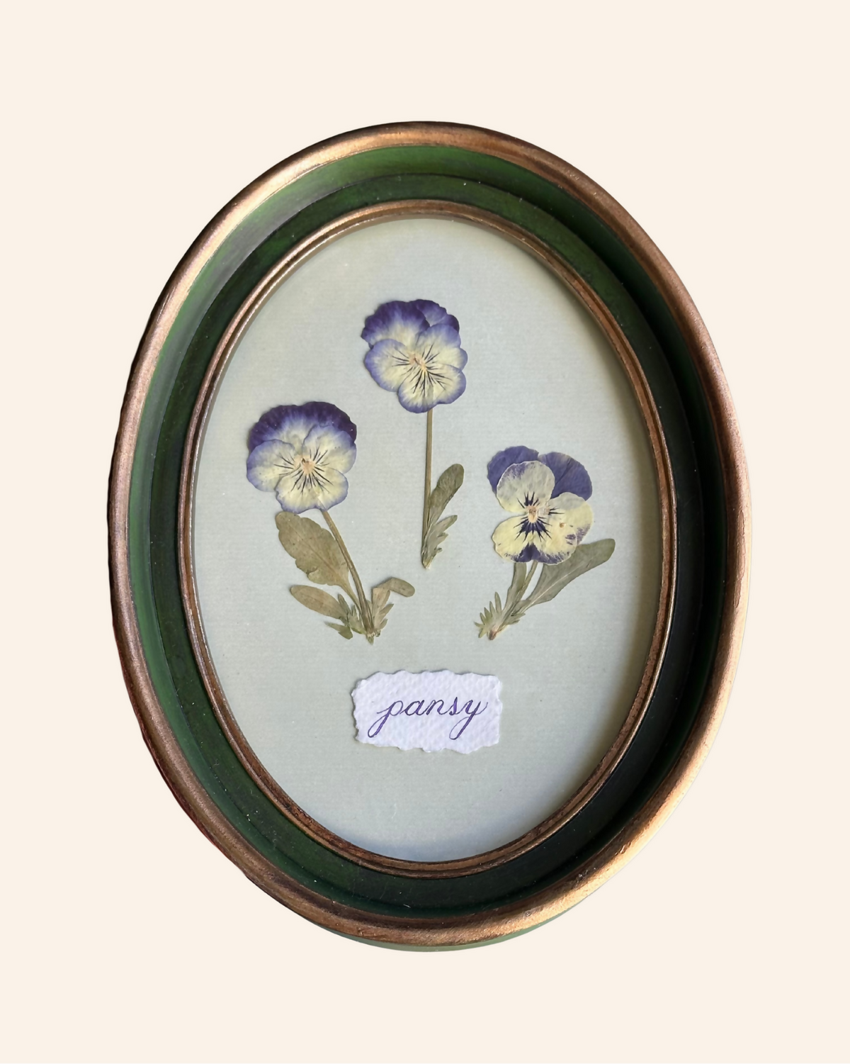 Indigo Pressed Pansies