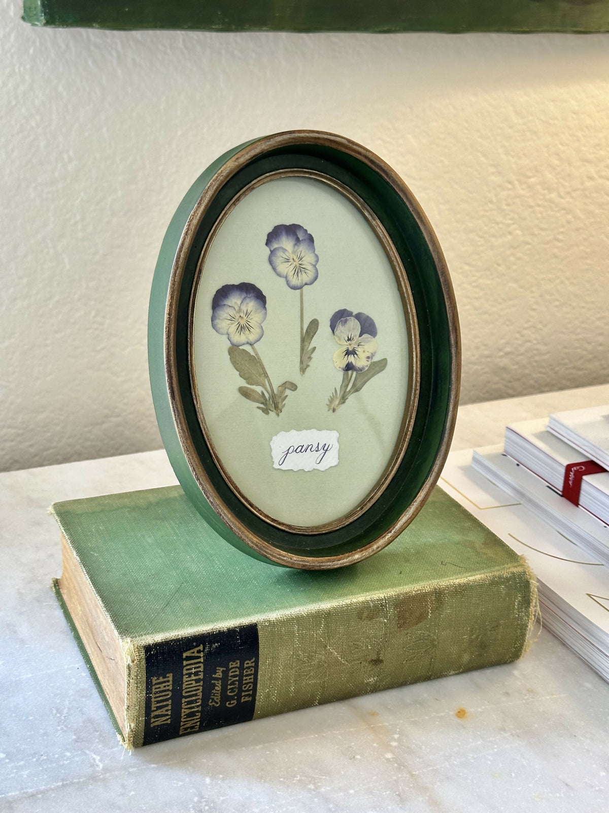 Indigo Pressed Pansies