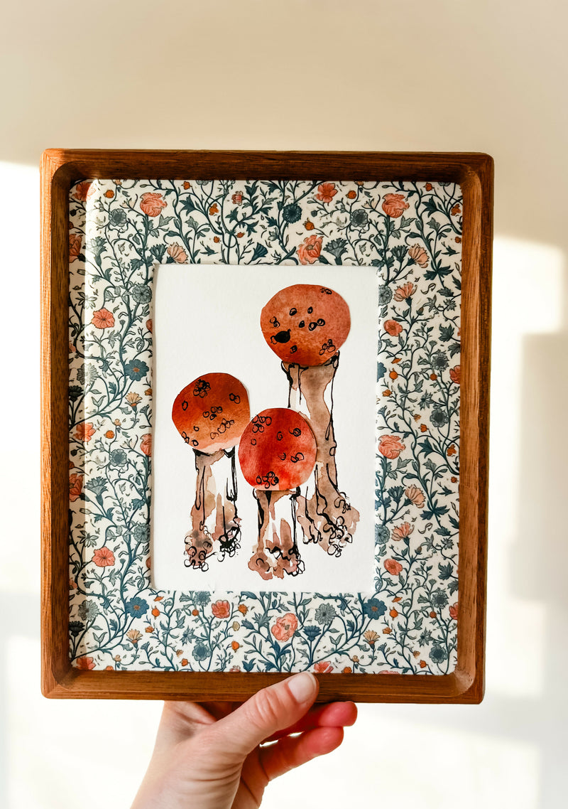 Mushroom Study in Rust Red No. 2