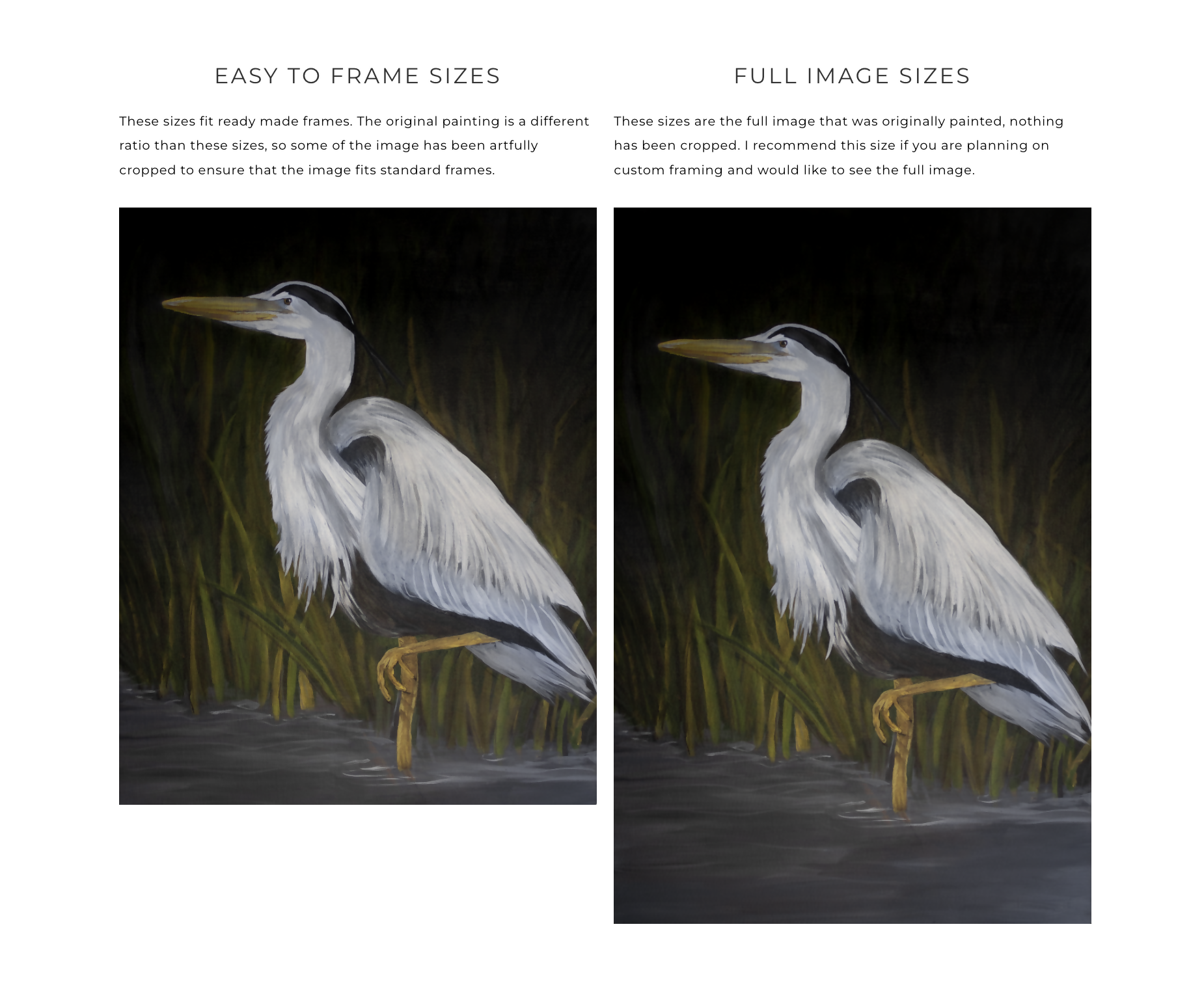 Heron at Night Print