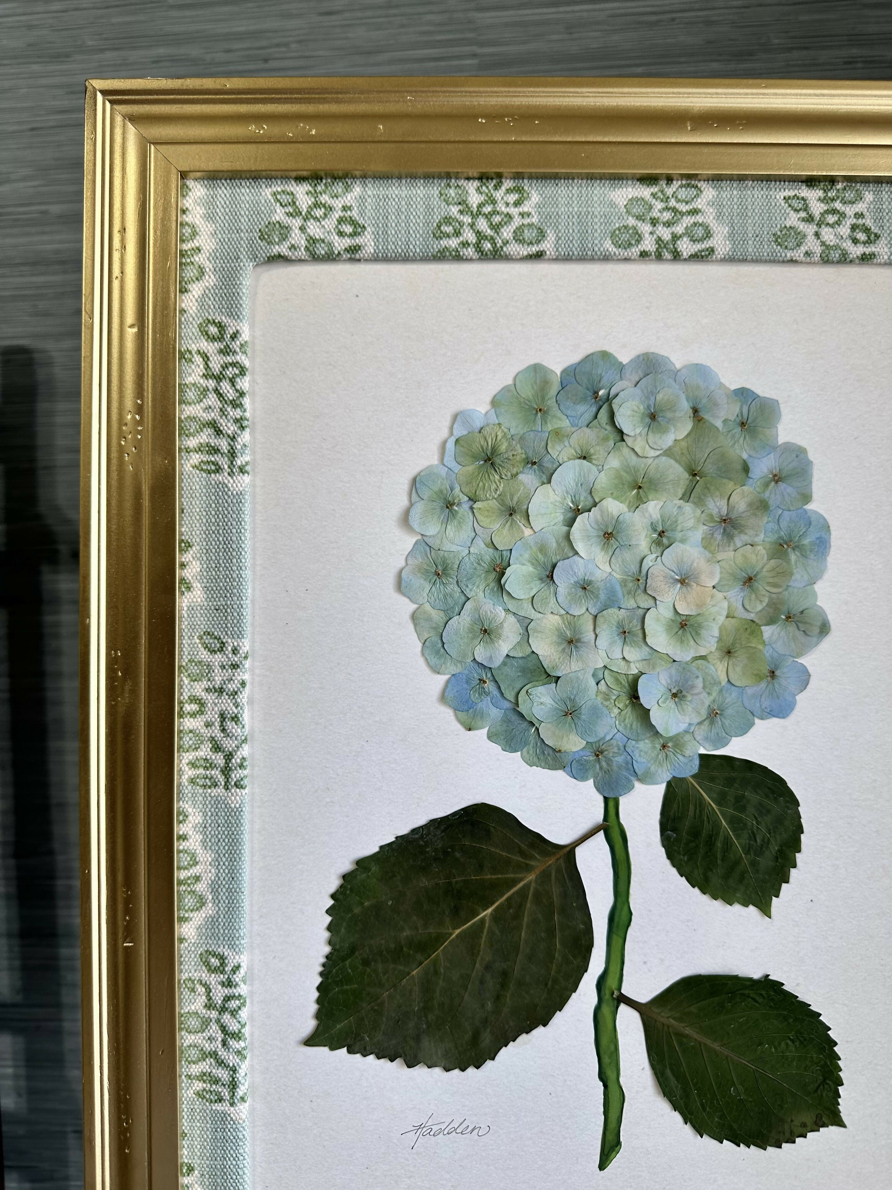 Pressed Hydrangea IV/VII