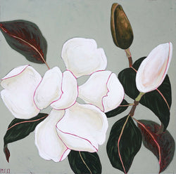 Magnolia no. ii