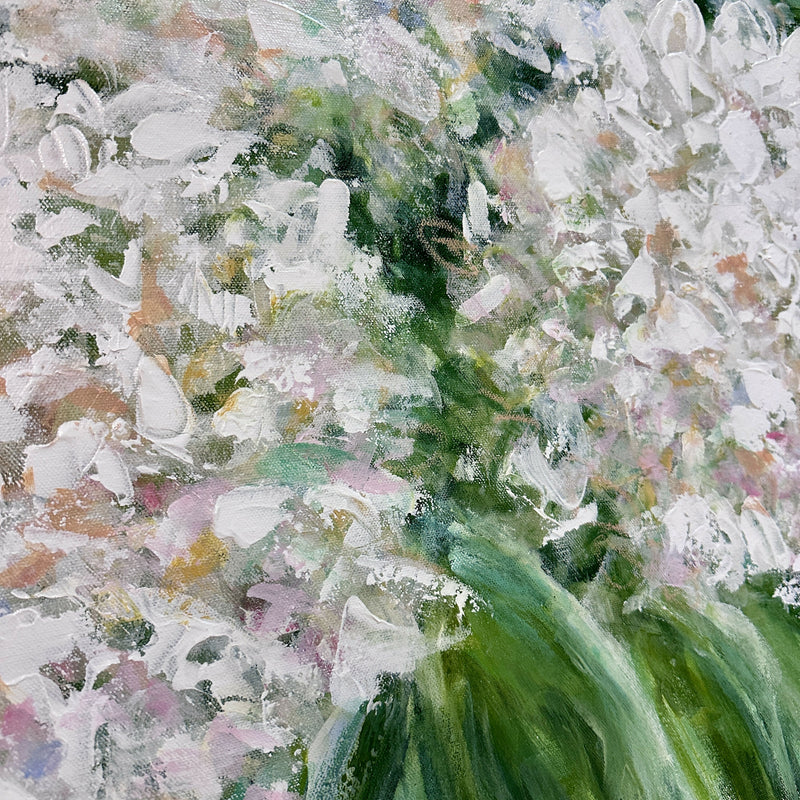 White Hydrangea Bloom 24”x24”