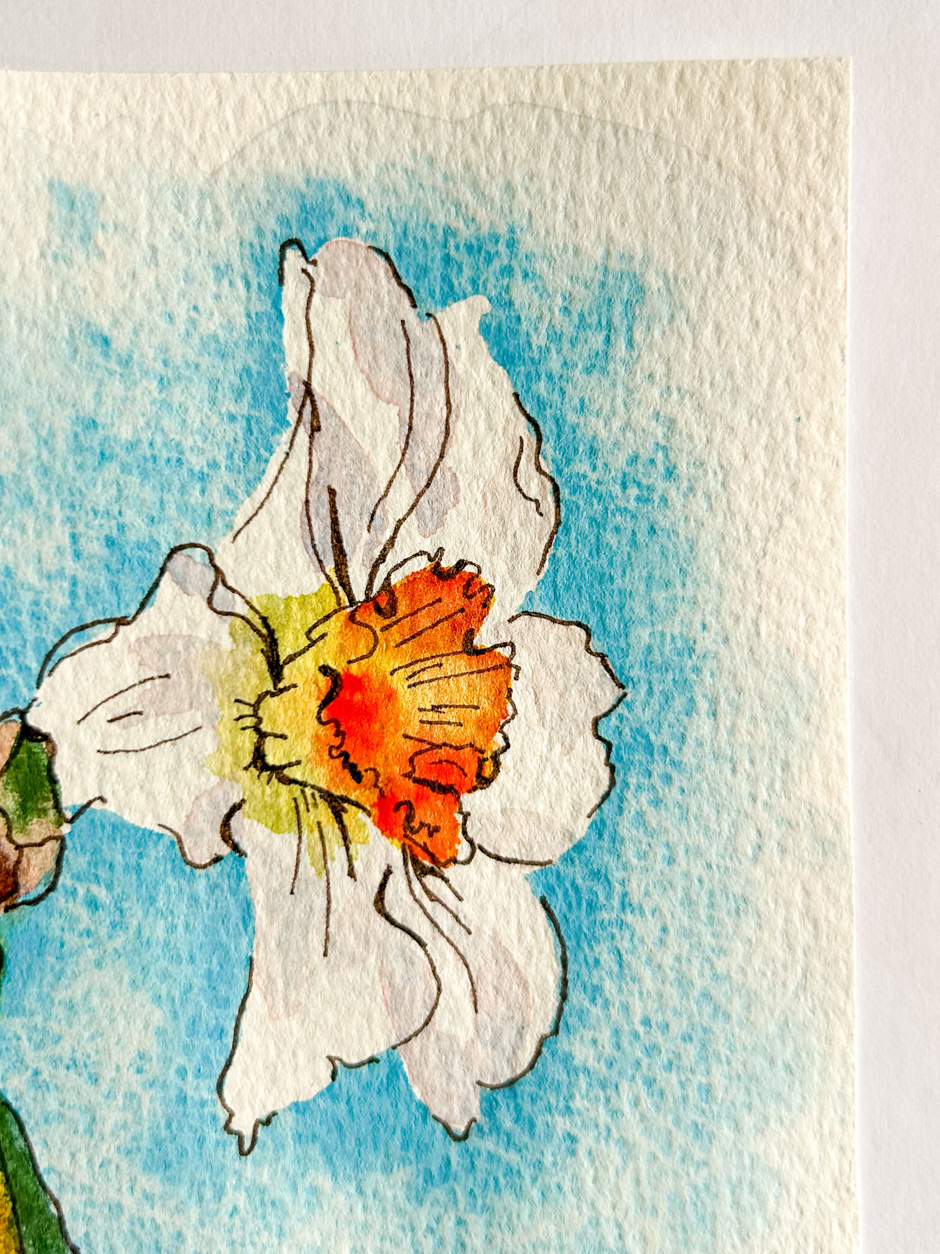 Heather Kiser White Narcissus No. 1 Detail