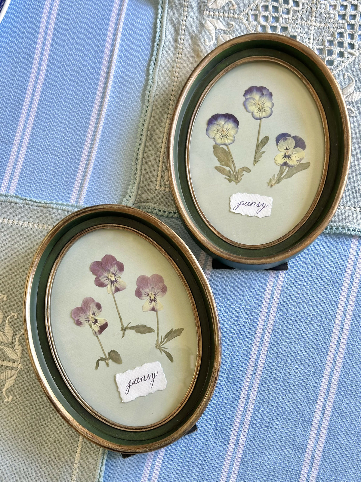 Indigo Pressed Pansies