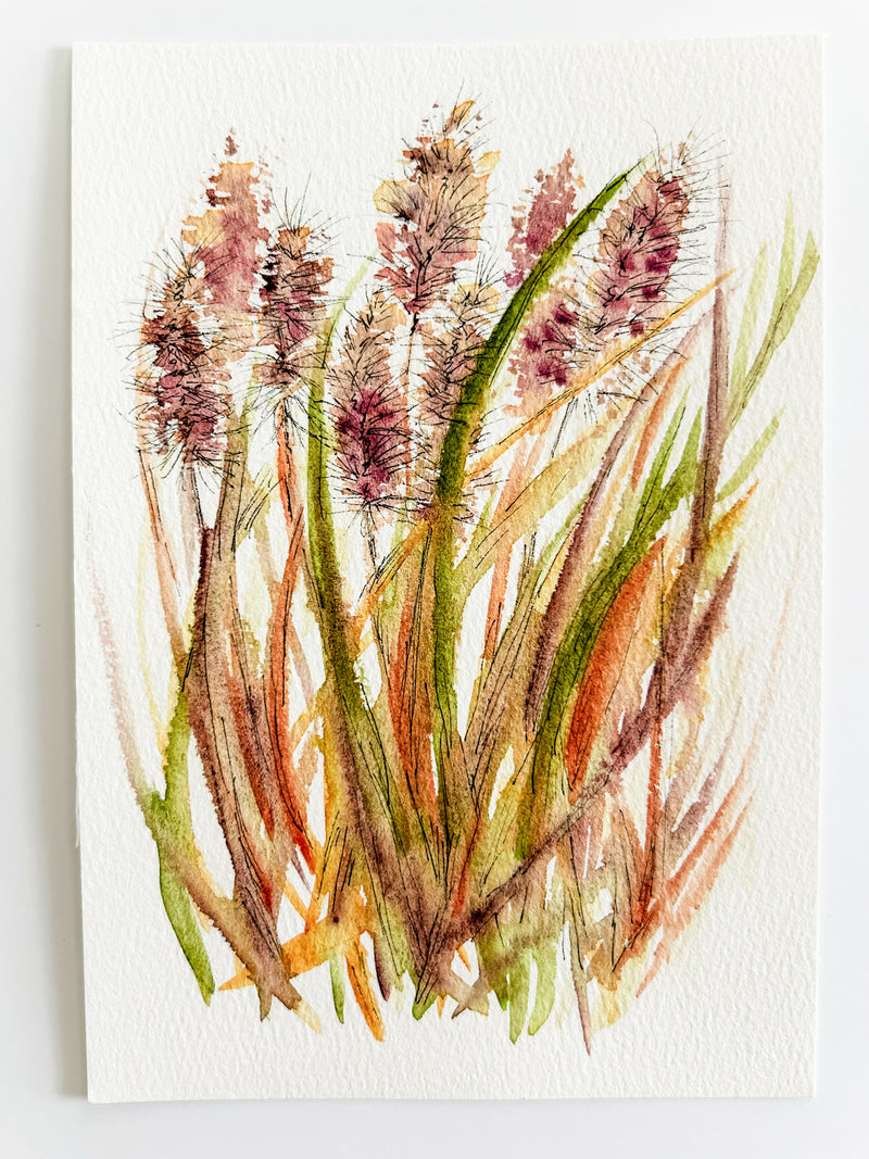 Ornamental Grasses