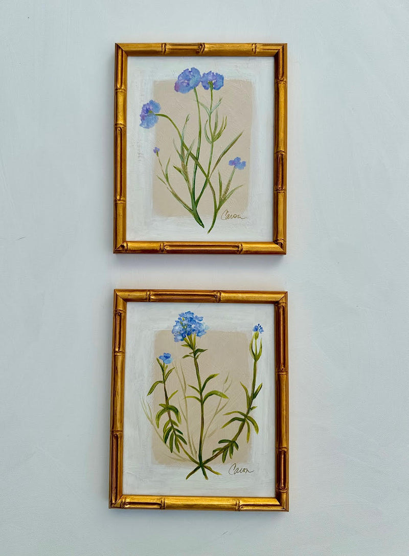 Field Notes No 4