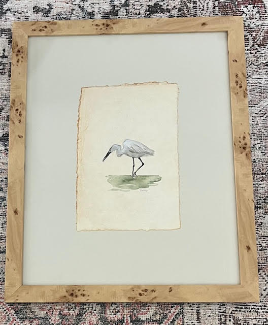Snowy Egret in The Shallows