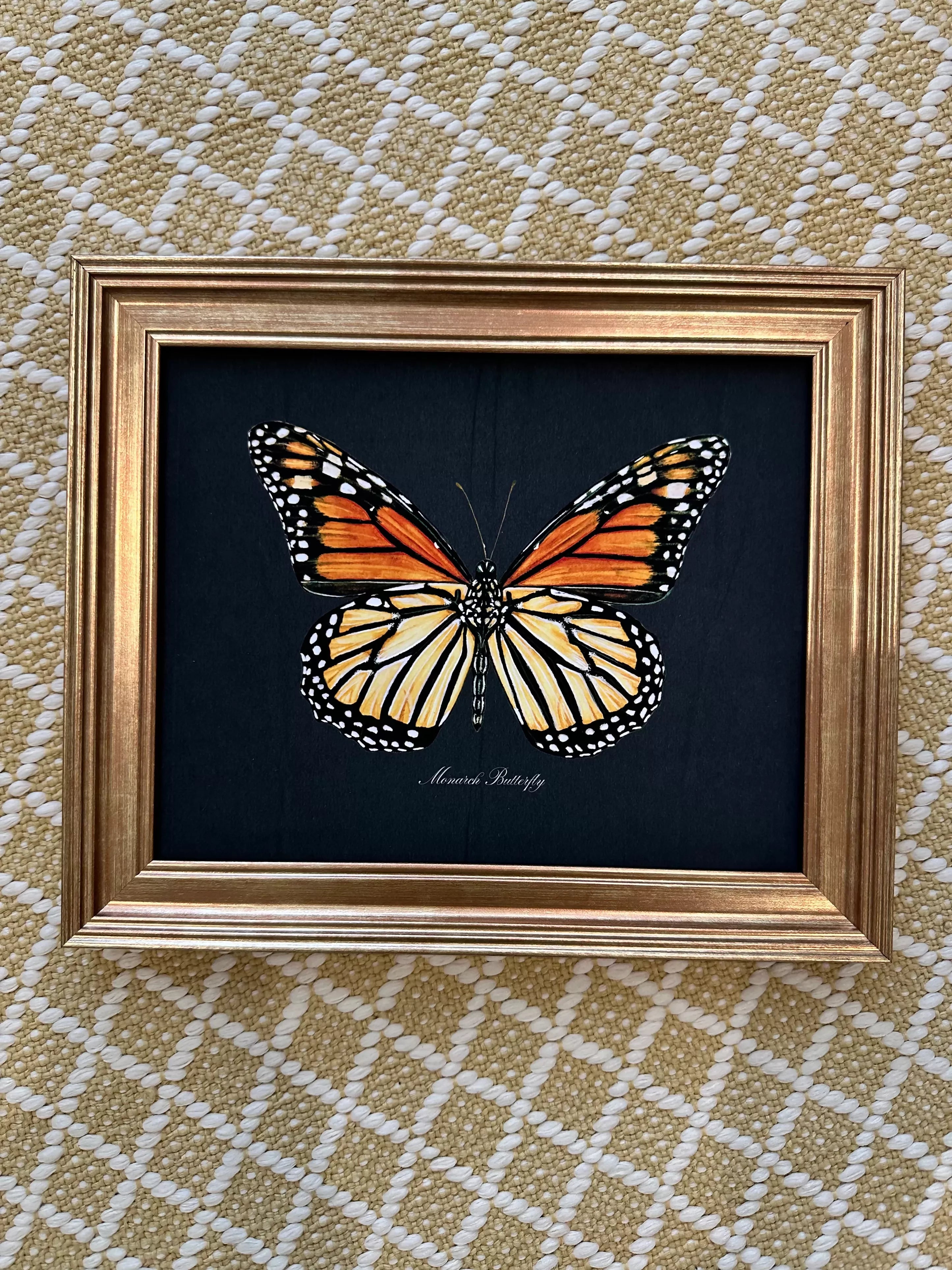 Special Edition Framed Monarch Butterfly Print