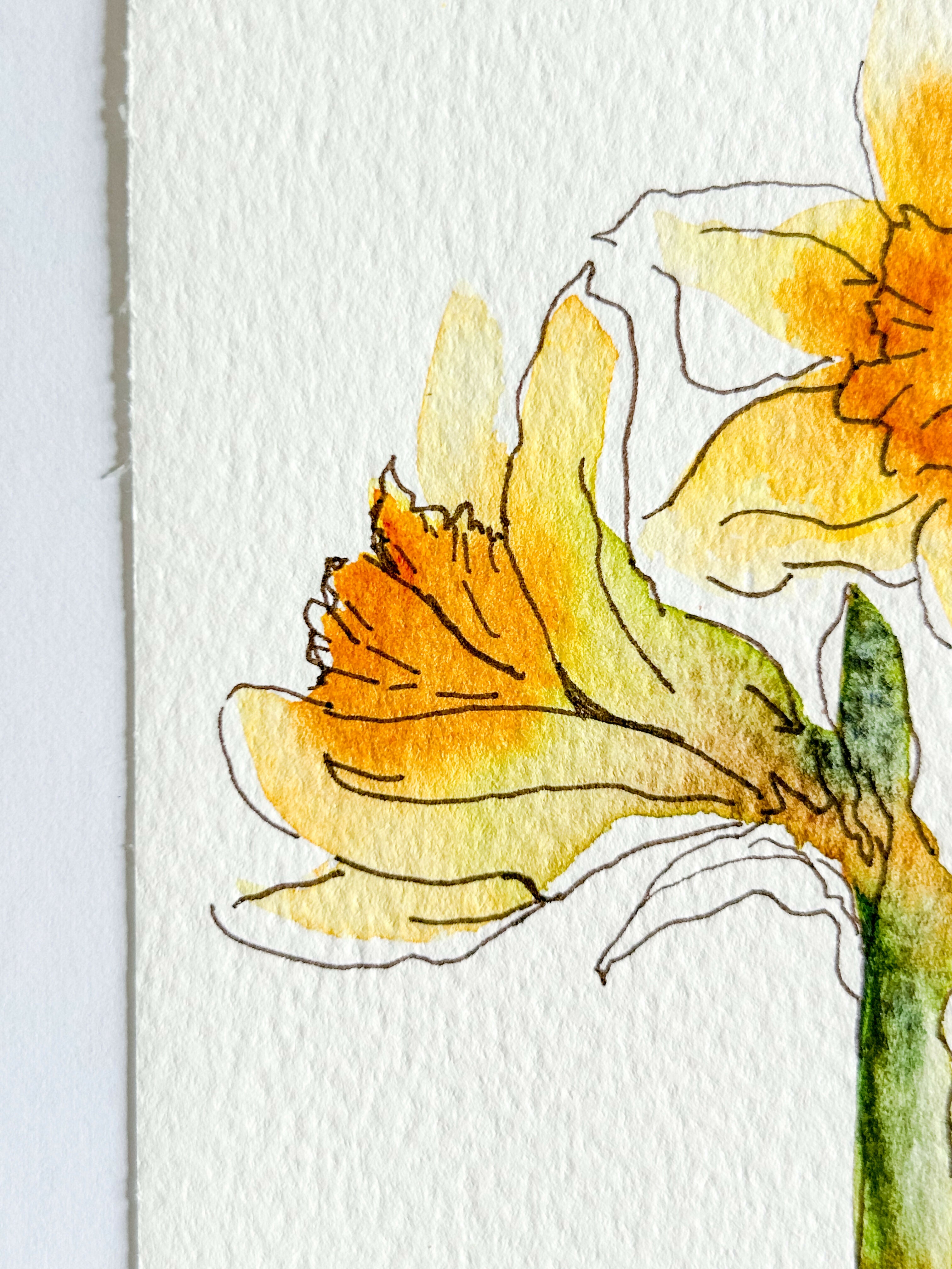Heather Kiser Yellow Narcissus No. 2 Detail