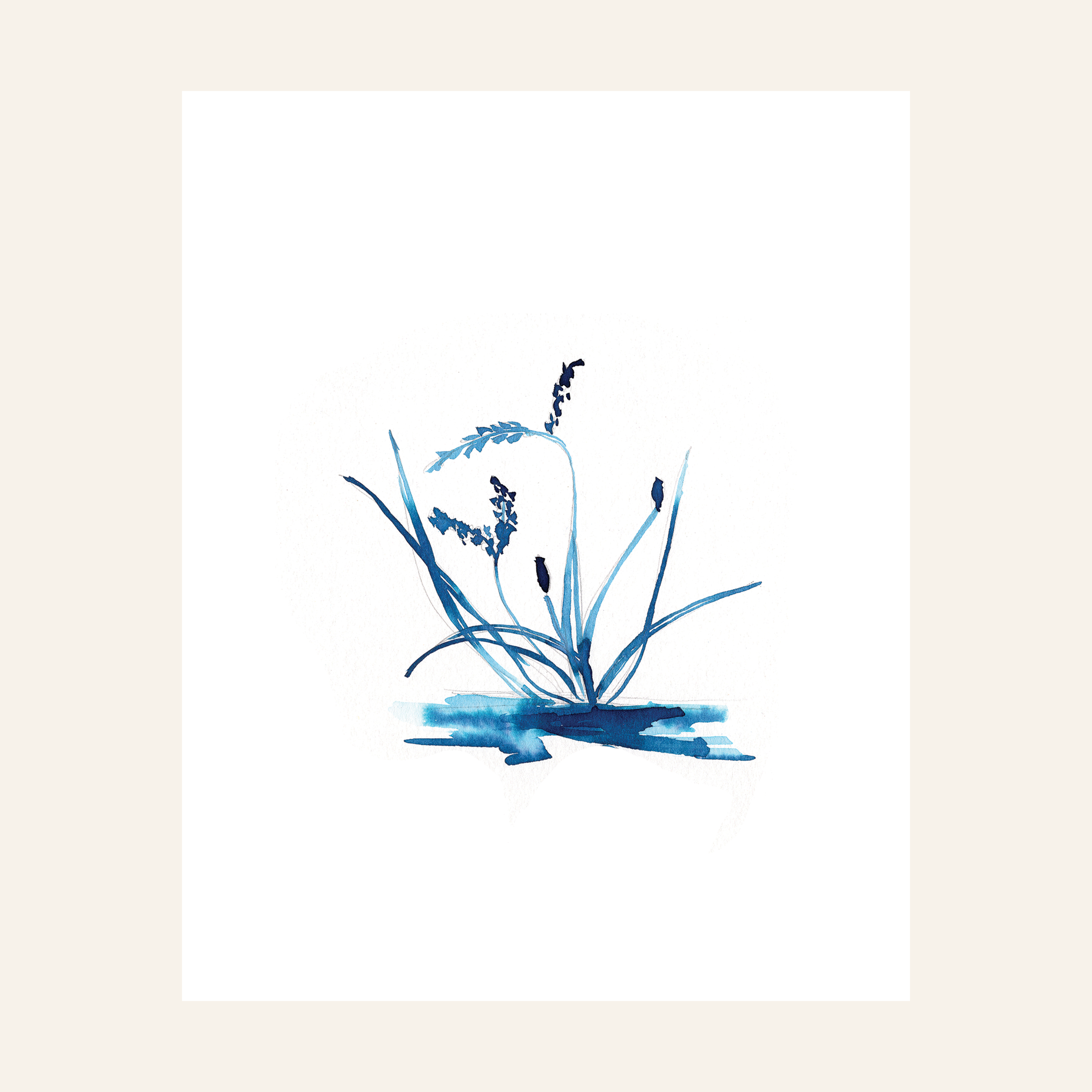 Blue Study II Print
