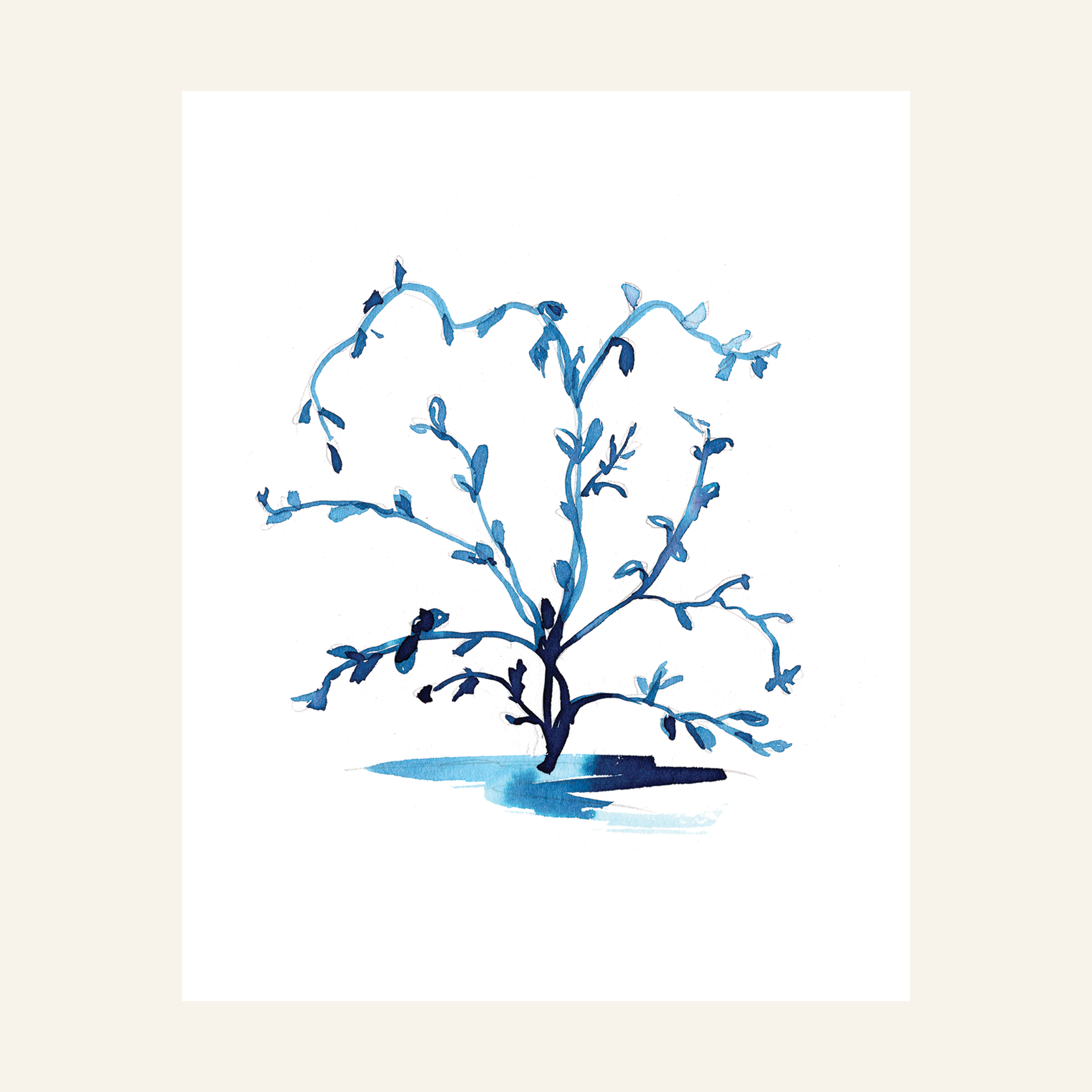 Blue Study III Print